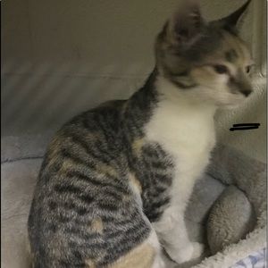 Meet your Posher, Meg